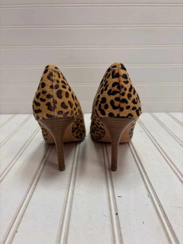 Shoes Heels Stiletto By Lands End In Animal Print, Size: 7 Sale