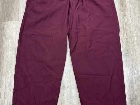 Pants Wide Leg By A New Day In Maroon, Size: Xl Online now