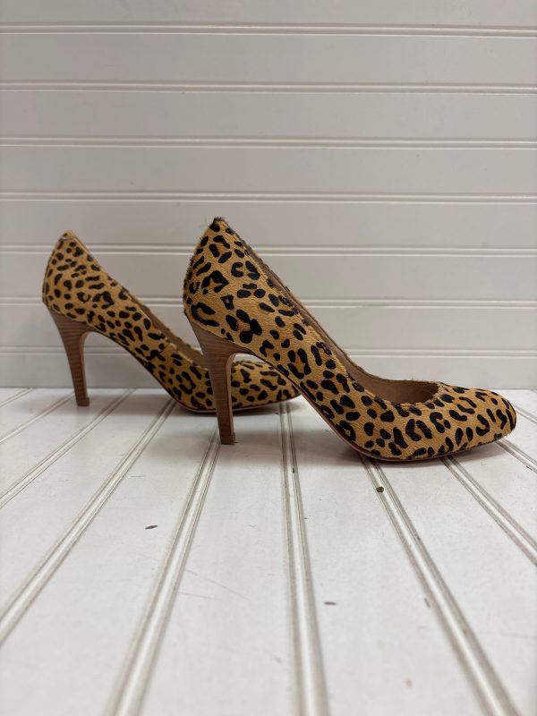 Shoes Heels Stiletto By Lands End In Animal Print, Size: 7 Sale