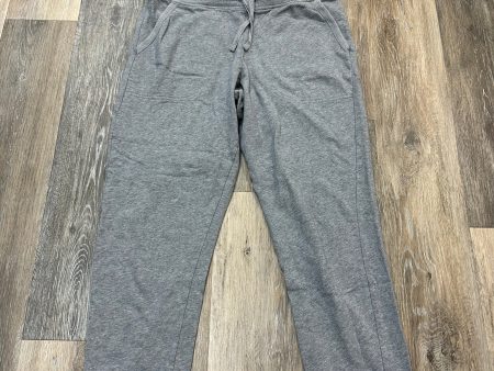 Athletic Pants By Patagonia In Grey, Size: M Hot on Sale