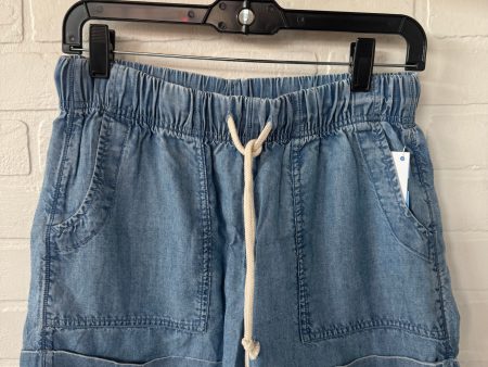 Shorts By Aerie In Blue, Size: 6 Supply